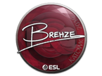 Brehze | Rio 2022 image